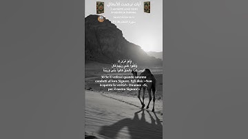 سورة الأنعام 33/26 itali/arabo #المصحف #quran