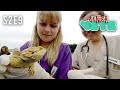 Junior Vets S2E9 Junior Vets S2E9