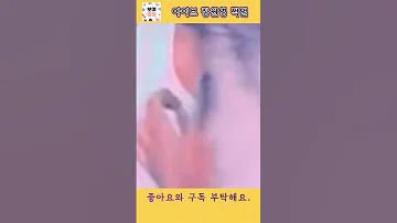 있지 유나 패치 노출 