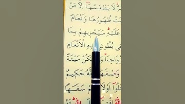 سورة الأنعام الأية 138 إلى 139 القارئ سعد الغامدي