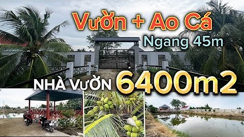 D0321 | Bán Đất Vườn Cần Đước 6400m2 có 300m2 thổ cư cổng tường rào kiên cố + Sân Vườn + Ao Cá QL50