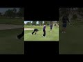 Highlights of the Elko and Spring Creek girls golf teams from the Division 3A North tournament on