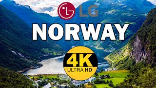 Lg Oled Tv Demo Video | Nature 4K Video Ultra Hd🌳🌿🍂