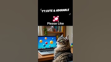 please like, subscribe and comment😅#kittens #dogs #love #pet #animals #cat #catlove #viral #fyp