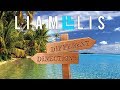 "Different Directions" Liam Lis