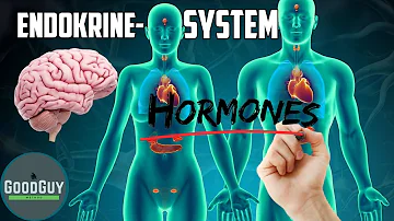 Was ist eine endokrine Drüse?