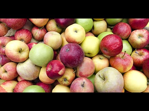 Яблочный самогон (кальвадос)