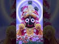 #song #jagannath #janam #bhajan #9030 #baba