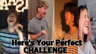 here's your perfect challenge TikTok compilation 2021 || Jamie Miller Here's your perfect HIGH NOTES