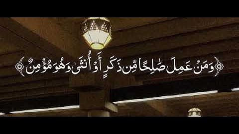 من عمل سيئة فلا يجزى الإ مثلها القارئ علي جابر