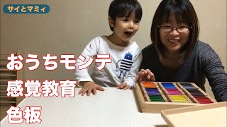 おうちモンテ・感覚教育、色板（3歳11ヶ月）｜Homemontessori sensorial color tablets