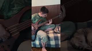 Bassist Plays Bassline From Song