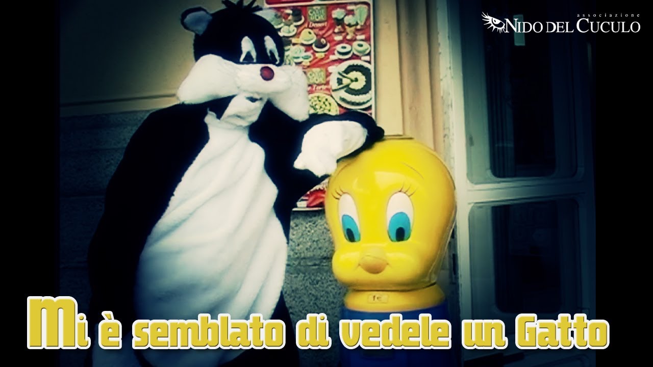 Mi è Semblato Di Vedele Un Gatto