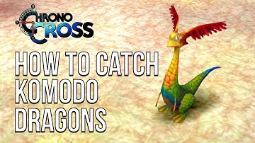 Chrono Cross Komodo Scale catching puzzle solutions