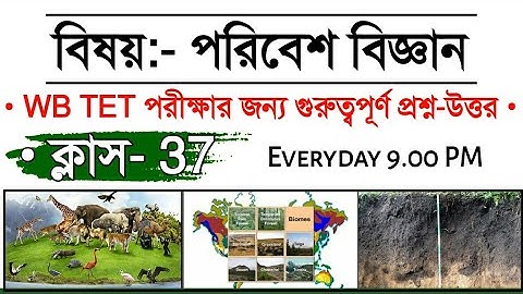 Primary TET পরীক্ষার জন্য EVS Qustions | Class 37 | WB Primary TET Exam Preparation 2019