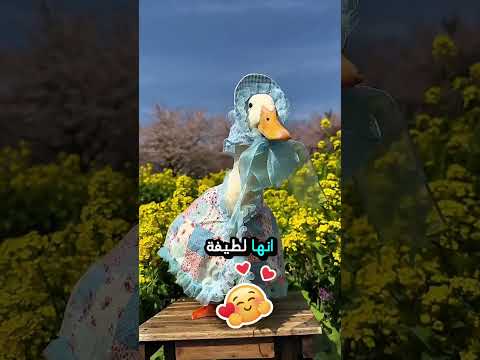 لا تقترب منها و إلا ستندم