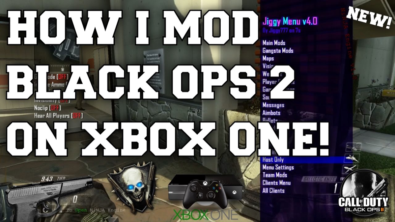 black ops 2 multiplayer mods