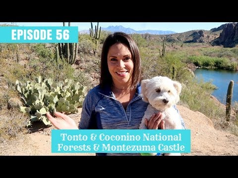 Βίντεο: Coconino National Forest: The Complete Guide