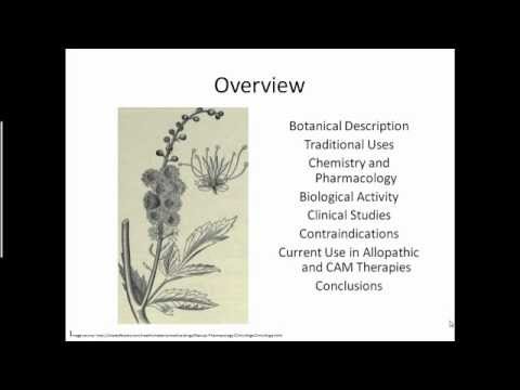 Video: Raven Racemose, Or Black Cohosh Racemose