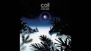 Coil – Strange Birds