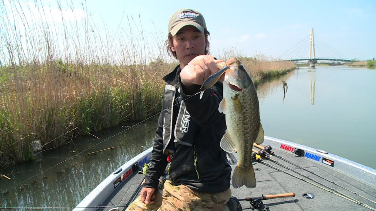 #202 待望の春バスをクランクベイトで誘い出す～関東屈指の好フィールド霞ヶ浦水系～