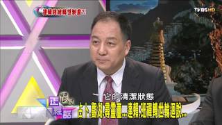 麗文正經話_20140911_300_2(TVBS DMDD)