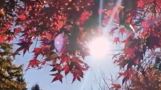 iPhone6S slow motion video test