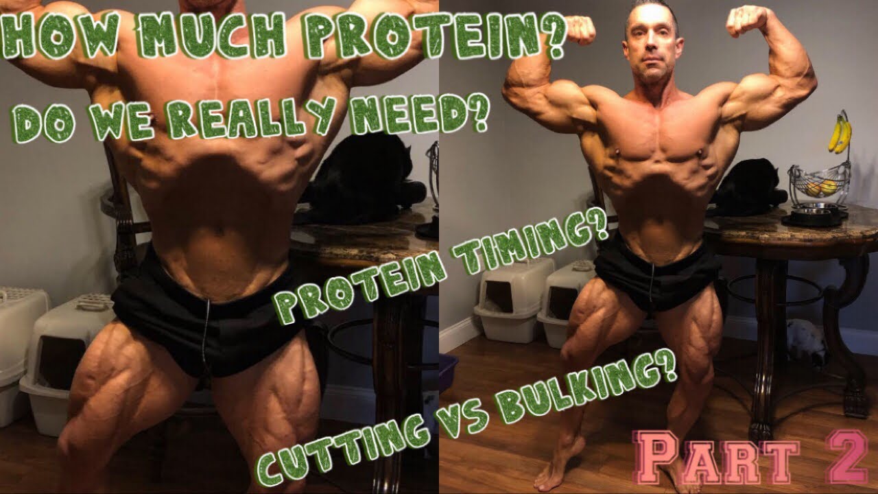 How Much Protein Do We Really Need Steroids Vs Natural
