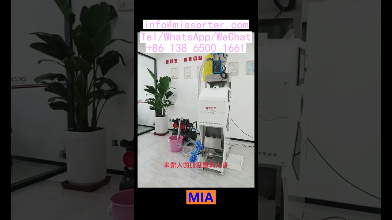 Turnkey AI Color Sorter Factory Setup with OEM Support Egypt Nigeria India Korea Taiwan Japan Mexico