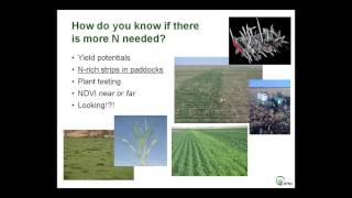 GRDC Grains Research Update, 5-6 February 2014, Southern Region, Ballarat, VIC. Rob Norton