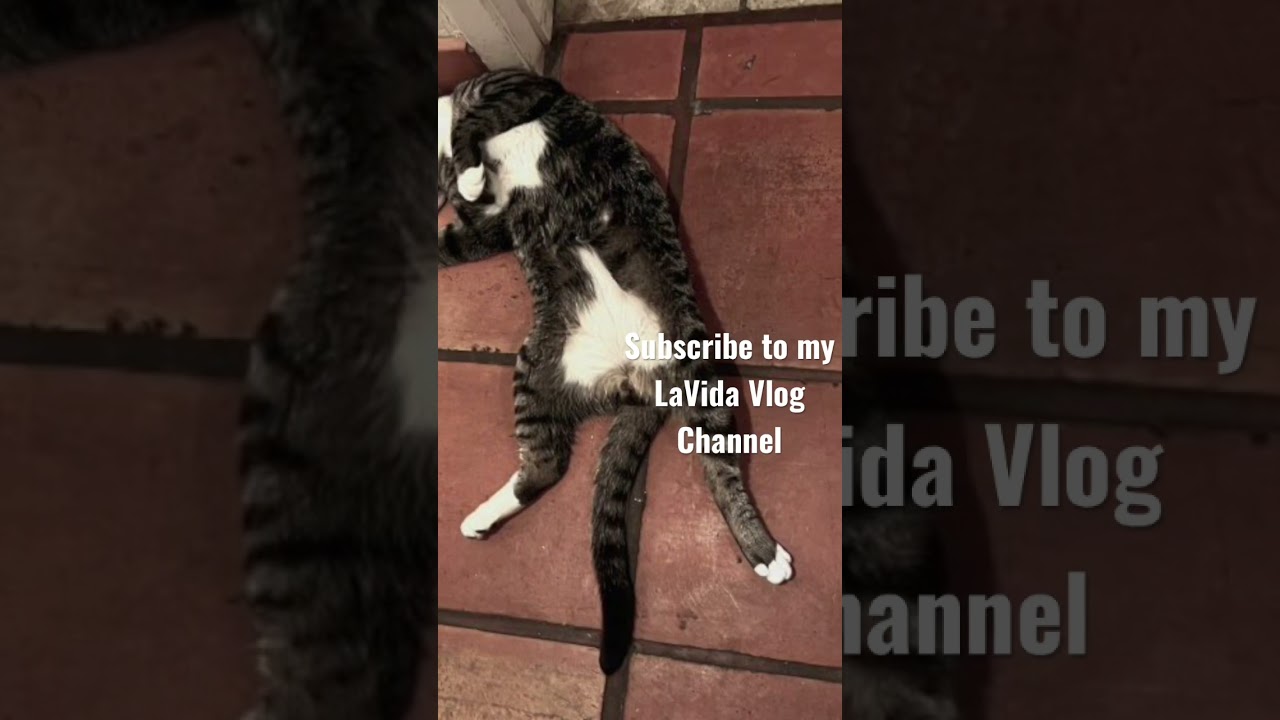 LaVida Vlog Channel 