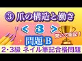 音声♪③爪の構造と働き≪３≫問題B