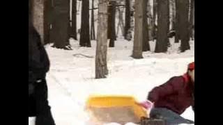Хайрлая