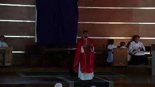 Homily - Father Mac - Good Friday 2026