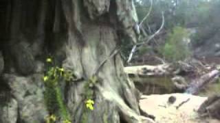 Download Lagu PRETTY MAIDS ALL IN A ROW ~ THE EAGLES ~ TO MY FRIENDS MP3