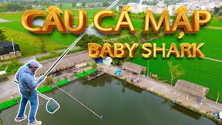 THỬ CÂU HỒ BABY SHARK MÀ KHÔNG KHÔNG THẤY SHARK NÀO HẾT?