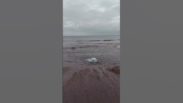 And this is where the sea starts😃 #like #share #subscribe