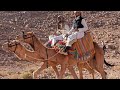 صناعة العصيان بيان عشائر سيناء من كتب البيان ضد السيسي صناعة العصيان بيان عشائر سيناء من كتب البيان ضد السيسي