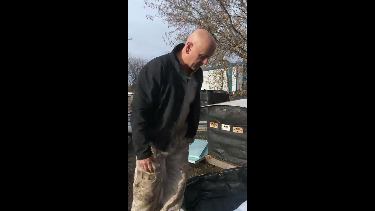 Winter wraps, insulating your bee hives