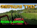 Операция "ГУСЬ" ! Взвесил индюшат. [Жизнь в деревне]