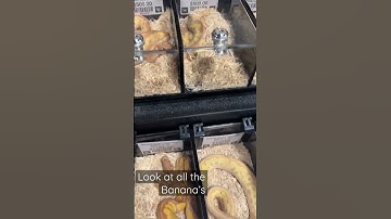 Look at all the Banana’s. #Wilbanks Reptiles