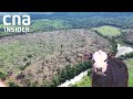 How China's love for beef is changing the Amazon Forest | China's Growing Appetite | Full Episode