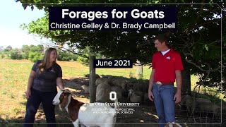 Forages for Goats
