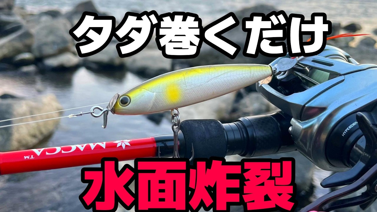 ただ巻くだけでデカバスが釣れるトップウォーター「ビハドウ」の理由と使い方【川スモール】