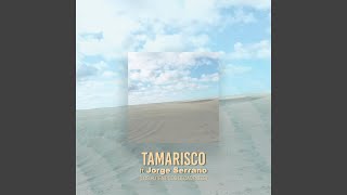 Video thumbnail of "Tamarisco - Lejos de Aquí"