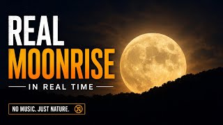 Real Moonrise in Real Time 🌕 | Watch the Moon Rise Over the Horizon (No Music)