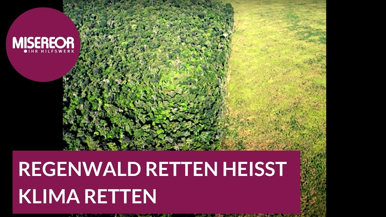 Regenwald retten heißt Klima retten: Gerecht ist klüger