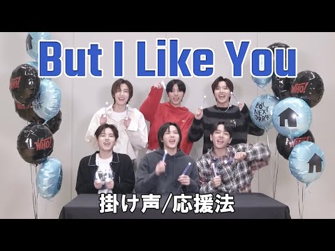 【日本語字幕/掛け声/カナルビ】But I Like You - boy next door / ボネクド