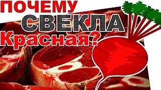 Свекла ТЕЧЕТ ВНУТРИ Нас! Лечебное переливание свеклы - вернет тебе здоровье! Овощ который лечит всё!