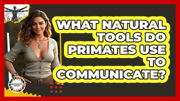 What Natural Tools Do Primates Use To Communicate? - Anthropology Insights